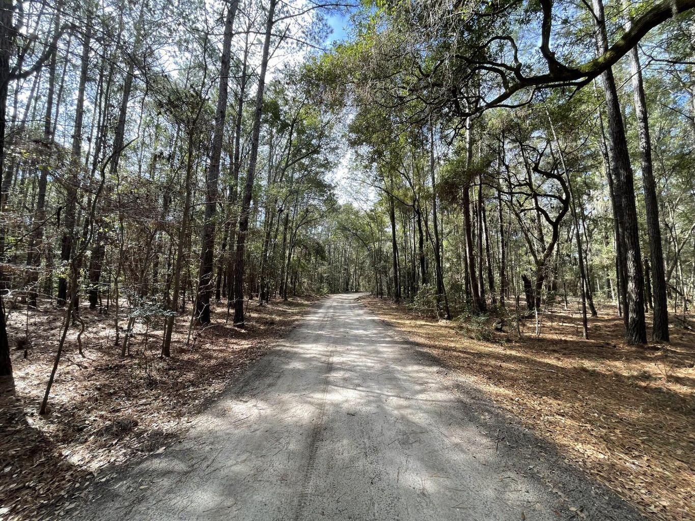 0 Louis Berry Lane, Edisto, SC, 29438 United States