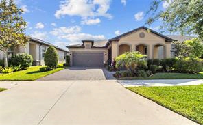 18746 Birchwood Groves Dr, Lutz, FL, 33558 United States