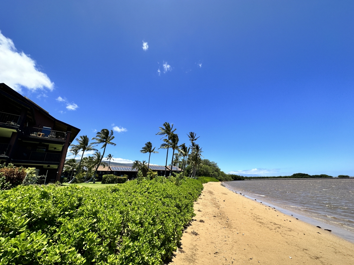 B118 1000 KAMEHAMEHA V Hwy, Kaunakakai, HI, 96748 United States