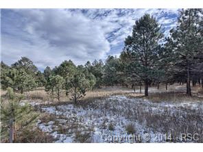 15724 Pole Pine Point, Colorado Springs, CO, 80908