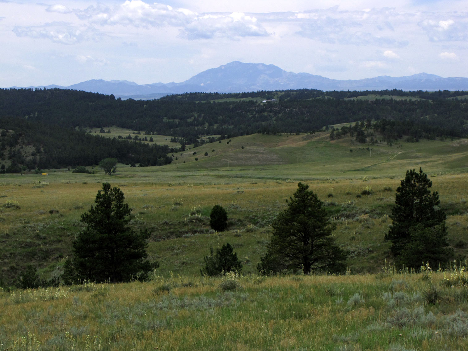 GLENDO RESERVOIR AND NORTH PLATTE RIVER AREA! TREES, FISHING, WILDLIFE ...